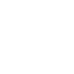 Professional Staff Icon